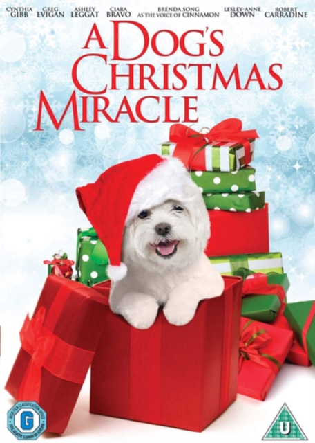 A   Dog's Christmas Miracle, DVD DVD