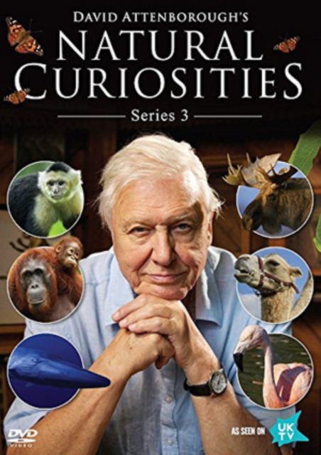 David Attenborough's Natural Curiosities: Series 3, DVD DVD