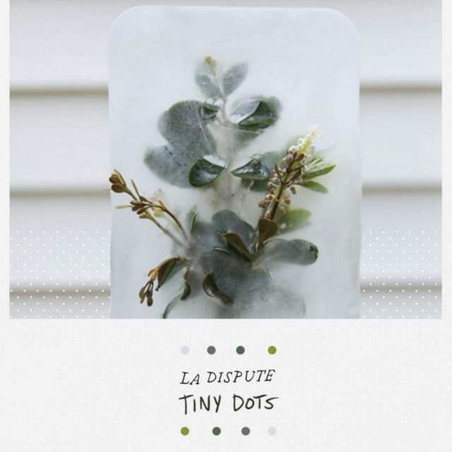 La Dispute: Tiny Dots, DVD  DVD