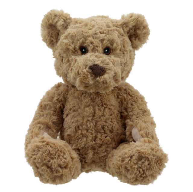 Teddy - Bear Soft Toy, Paperback Book