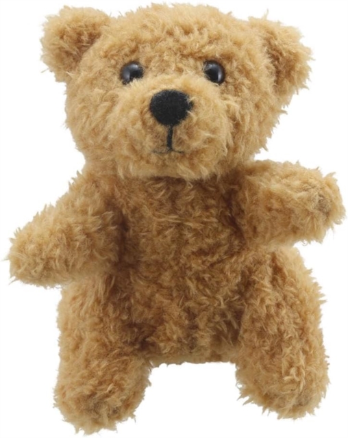 Teddy Bear Soft Toy, Paperback Book