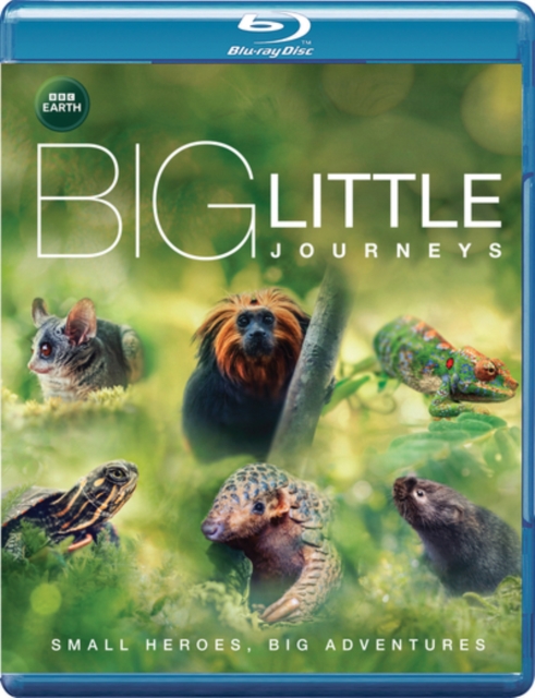 Big Little Journeys, Blu-ray BluRay