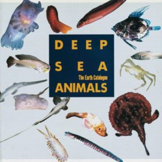Deep Sea Animals, Vinyl / 12" Album Vinyl