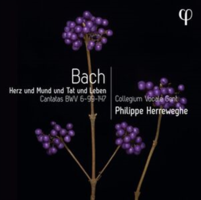 Bach: Herz Und Mund Und Tat Und Leben: Cantatas BWV 6-99-147, CD / Album Cd