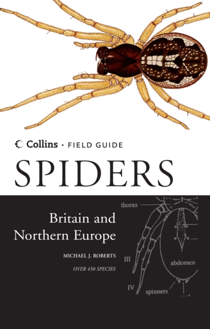 Spiders of Britain and Northern Europe, Hardback Book