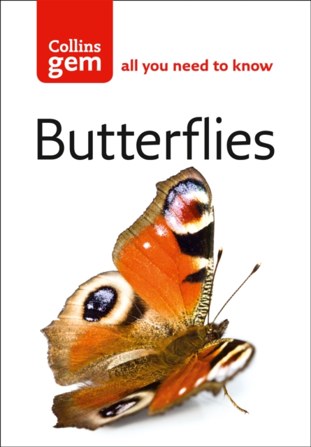 Butterflies, Paperback / softback Book