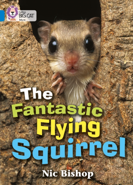The Fantastic Flying Squirrel : Band 04/Blue, Paperback / softback Book