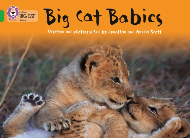 Big Cat Babies : Band 05/Green, Paperback / softback Book