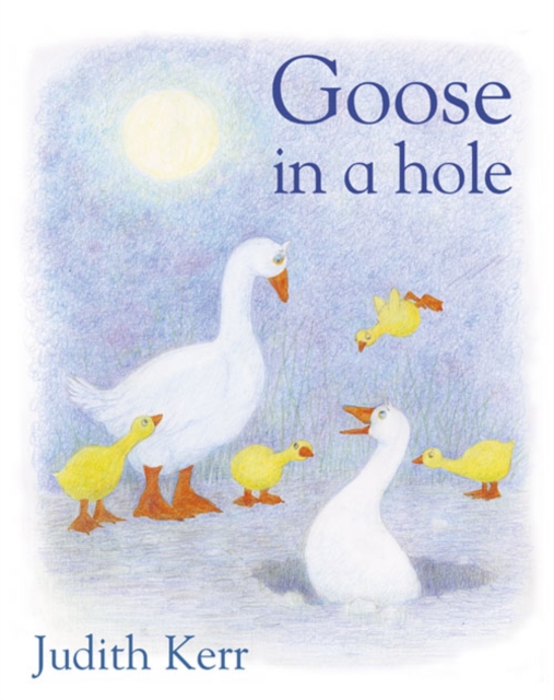 Goose In A Hole, Paperback / softback Book