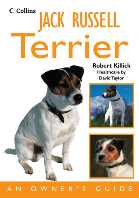 Jack Russell Terrier : An Owner's Guide, Paperback / softback Book