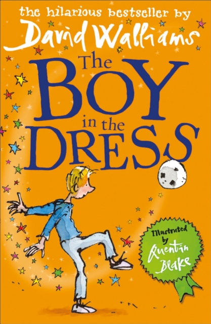 The Boy in the Dress, Hardback Book