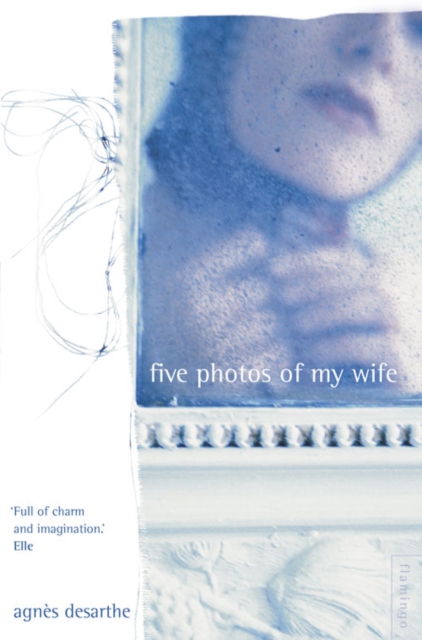 Five Photos of My Wife, Paperback / softback Book