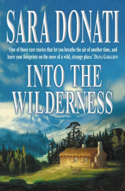 Into the Wilderness, Paperback Book