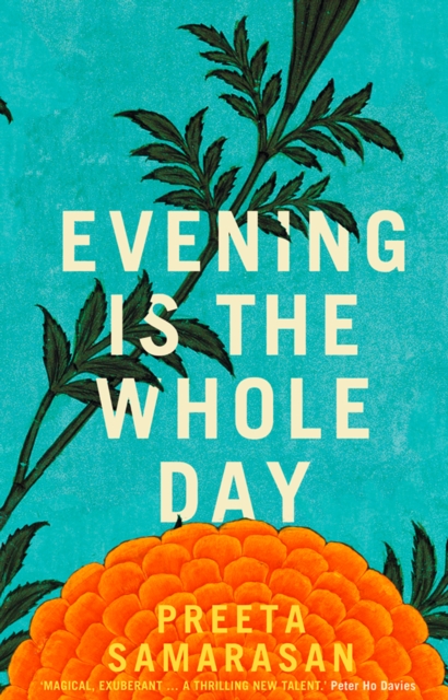 Evening Is the Whole Day, EPUB eBook
