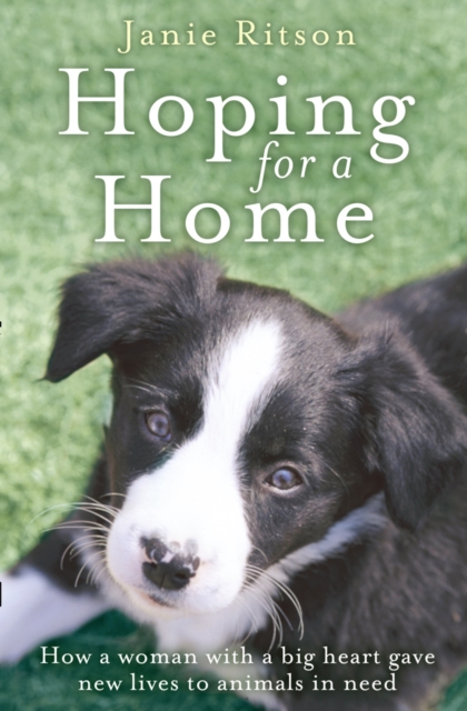 Hoping For A Home : How a Woman with a Big Heart Gave New Lives to Animals in Need, Paperback / softback Book