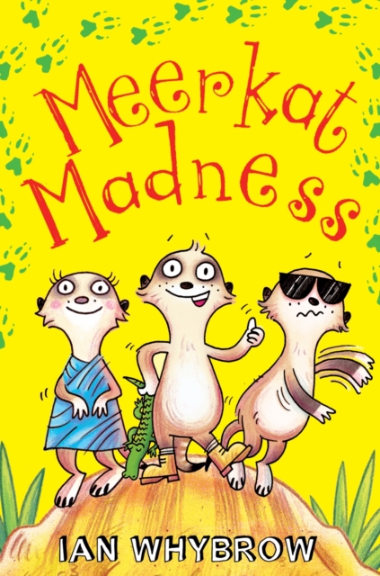 Meerkat Madness, Paperback / softback Book
