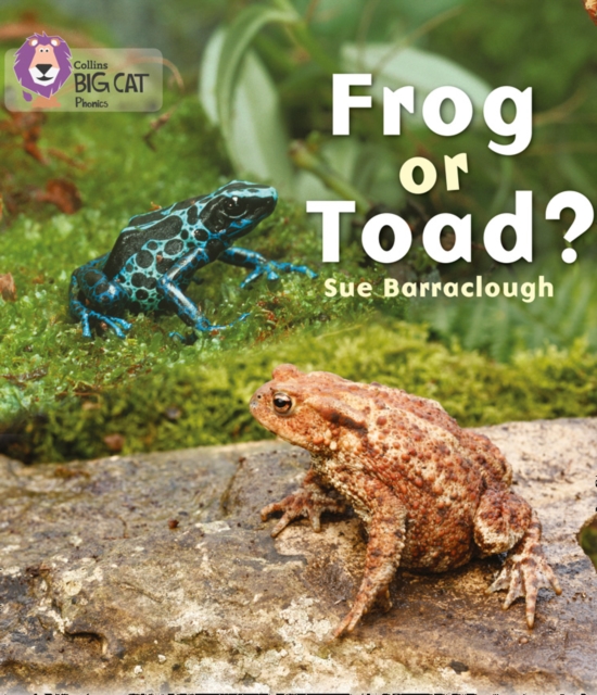 Frog or Toad? : Band 03/Yellow, Paperback / softback Book