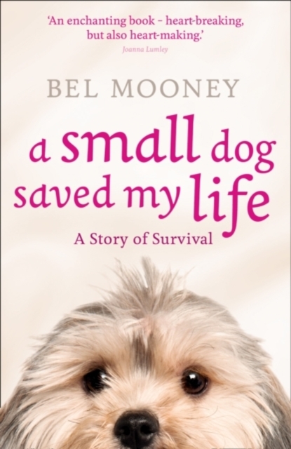 A Small Dog Saved My Life, Paperback / softback Book