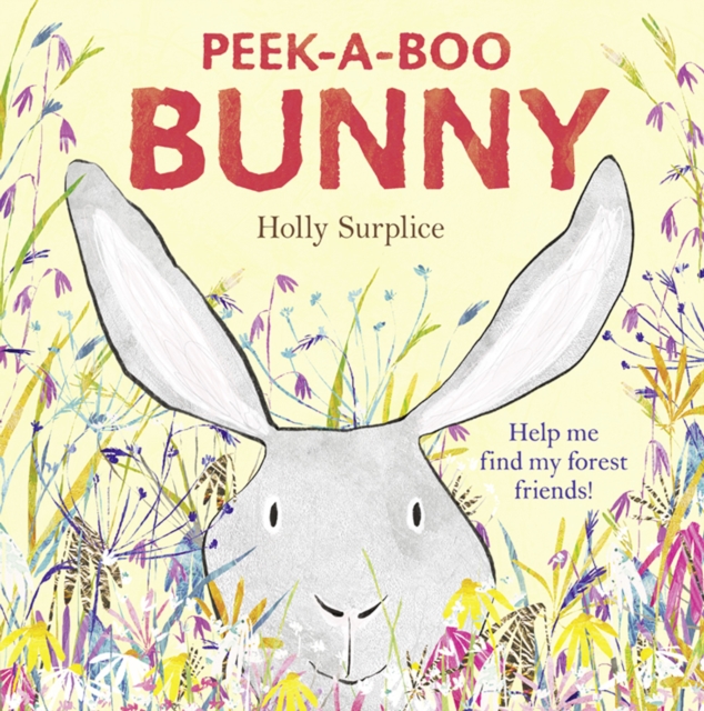 Peek-a-Boo Bunny (Read Aloud), EPUB eBook