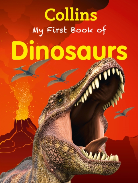 My First Book of Dinosaurs, Paperback Book