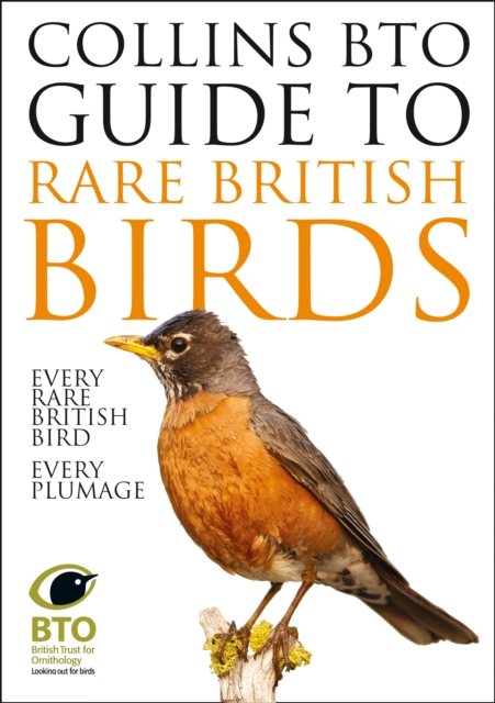 Collins BTO Guide to Rare British Birds, Paperback / softback Book