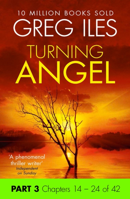 Turning Angel: Part 3, Chapters 14 to 24, EPUB eBook
