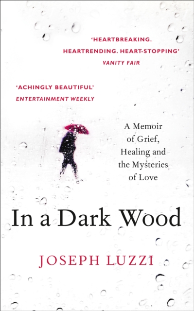 In a Dark Wood : A Memoir of Grief, Healing and the Mysteries of Love, Paperback / softback Book