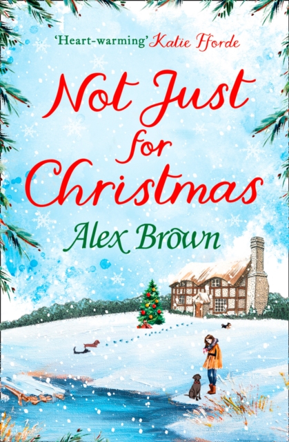 Not Just for Christmas, EPUB eBook