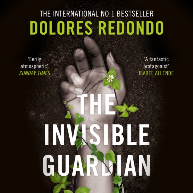 The Invisible Guardian, eAudiobook MP3 eaudioBook
