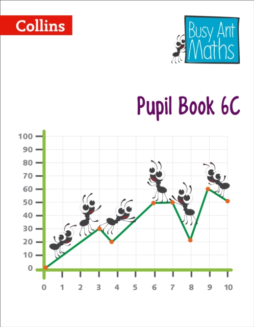 Pupil Book 6C, Paperback / softback Book