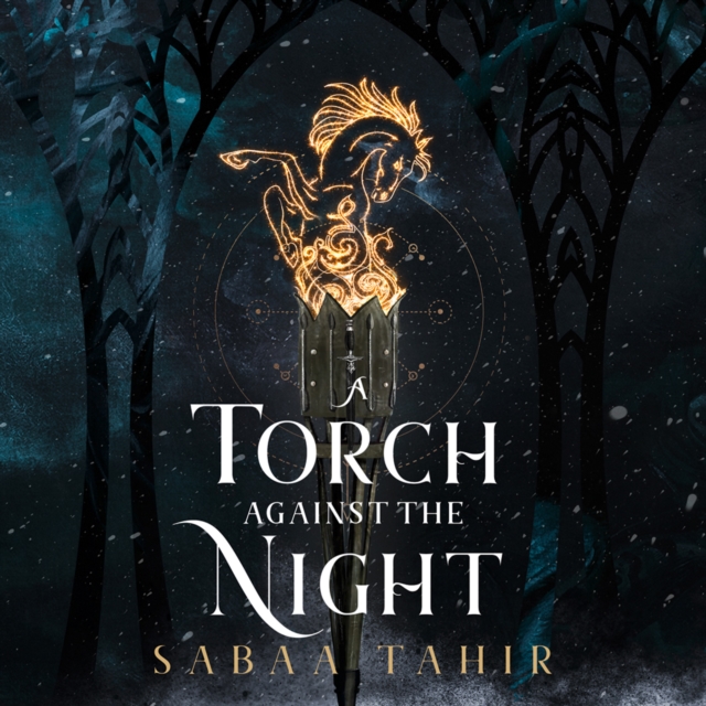 A Torch Against the Night, eAudiobook MP3 eaudioBook