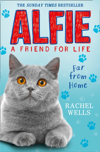 Alfie Far From Home, Paperback / softback Book