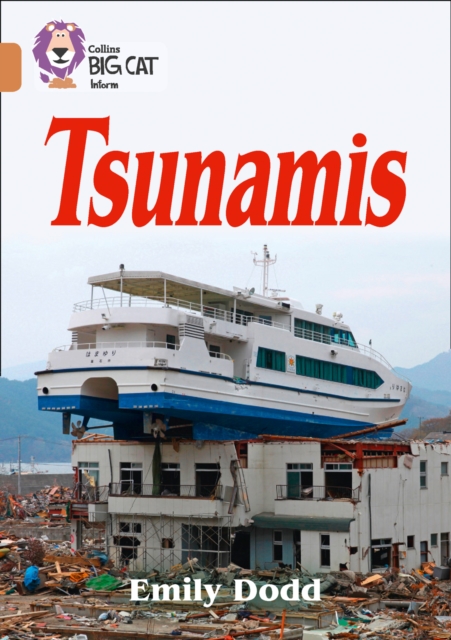 Tsunamis : Band 12/Copper, Paperback / softback Book