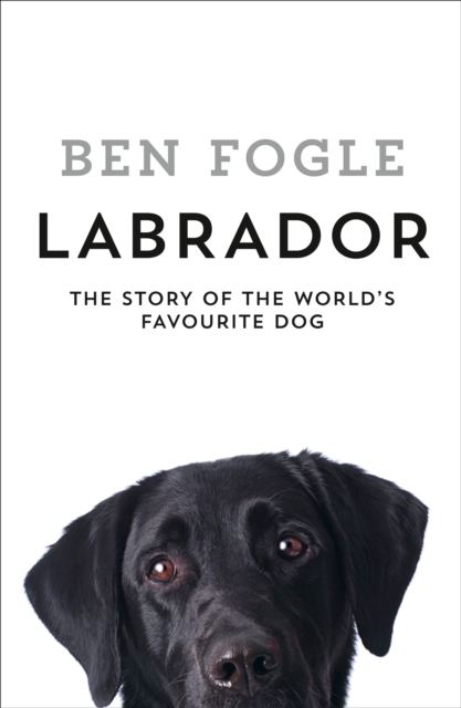 Labrador, Hardback Book
