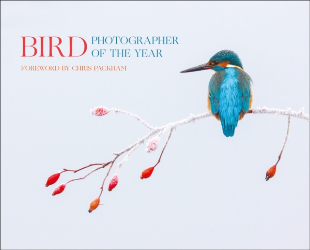 Bird Photographer of the Year : Collection 2, Hardback Book