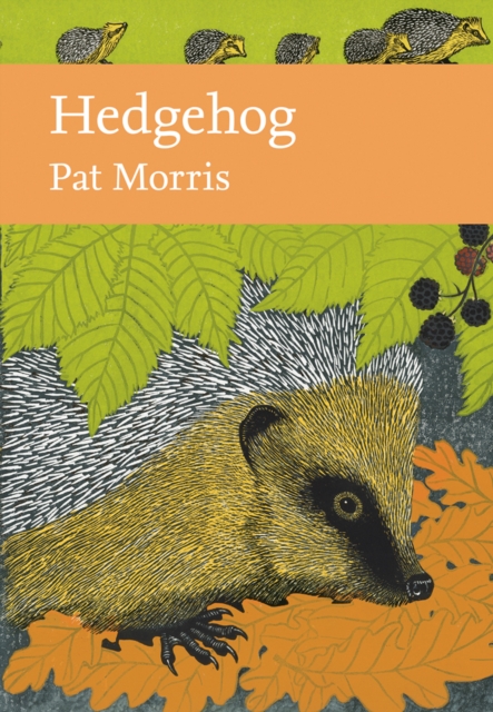 Hedgehog, Hardback Book