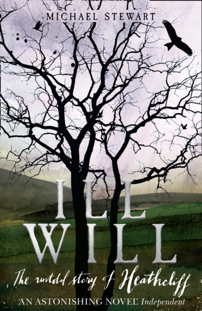 Ill Will, Paperback / softback Book