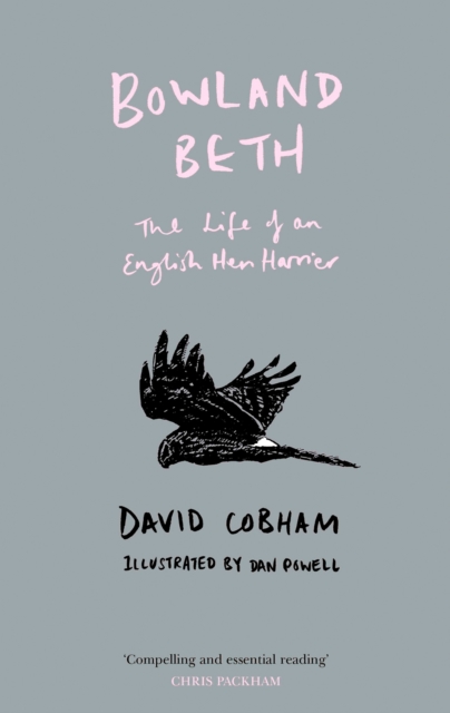 Bowland Beth : The Life of an English Hen Harrier, Hardback Book