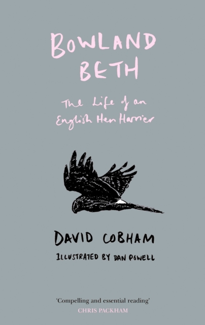 Bowland Beth : The Life of an English Hen Harrier, EPUB eBook