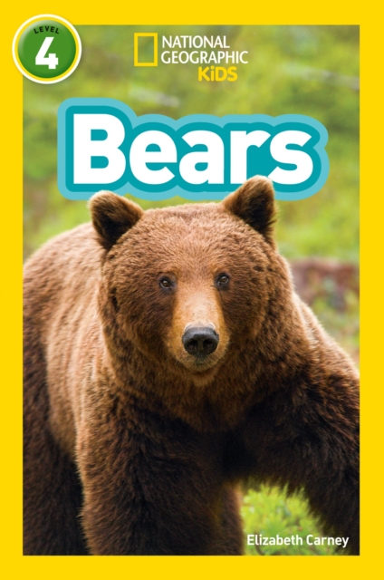 Bears : Level 4, Paperback / softback Book