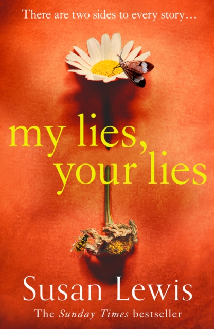 My Lies, Your Lies, EPUB eBook