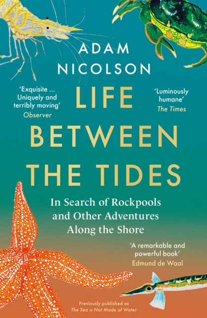 Life Between the Tides : In Search of Rockpools and Other Adventures Along the Shore, EPUB eBook