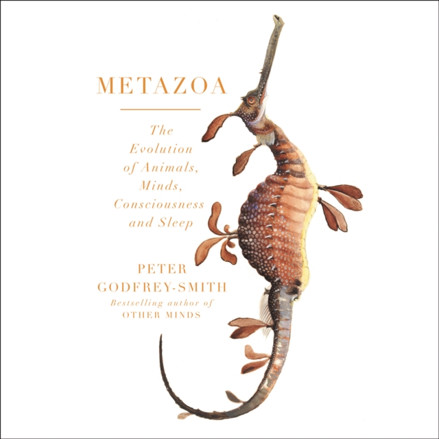 Metazoa : Animal Minds and the Birth of Consciousness, eAudiobook MP3 eaudioBook