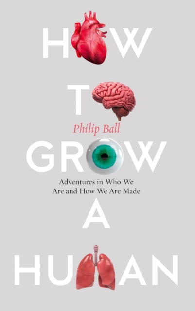 How to Grow a Human : Adventures in Who We are and How We are Made, Hardback Book