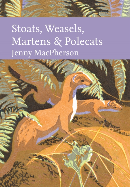 Stoats, Weasels, Martens and Polecats, Hardback Book