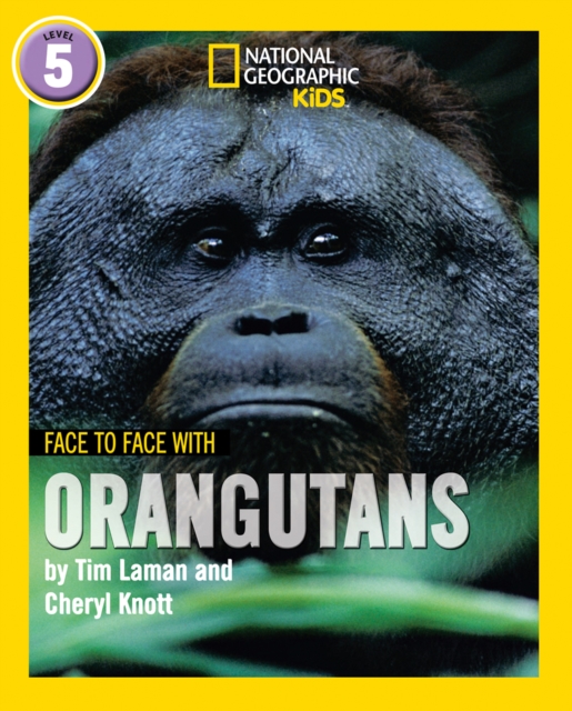 Face to Face with Orangutans : Level 5, Paperback / softback Book