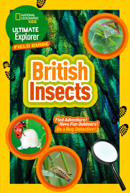 Ultimate Explorer Field Guides British Insects : Find Adventure! Have Fun Outdoors! be a Bug Detective!, Paperback / softback Book