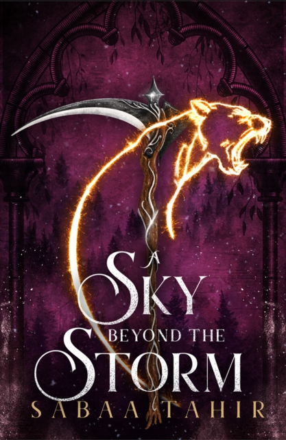 A Sky Beyond the Storm, Hardback Book