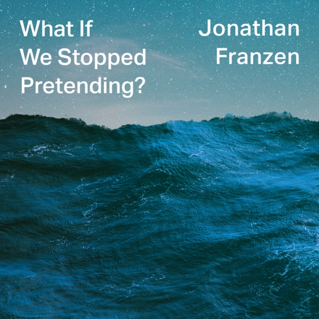 What If We Stopped Pretending?, eAudiobook MP3 eaudioBook
