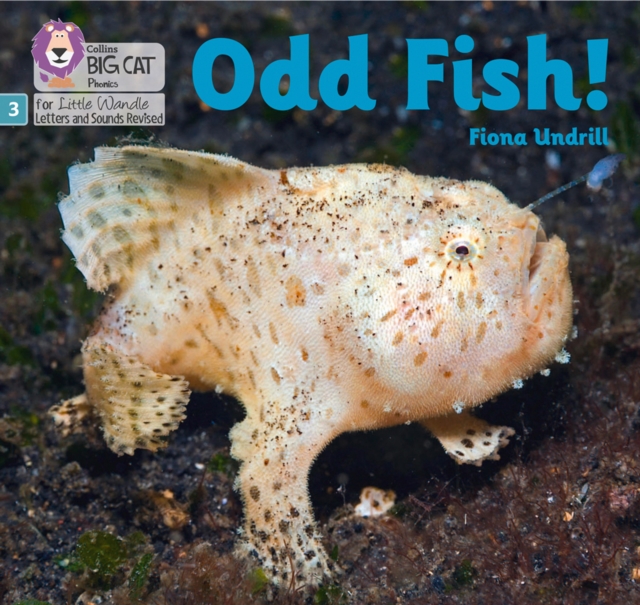 Odd Fish! : Phase 3 Set 1, Paperback / softback Book